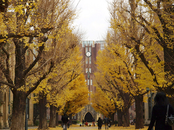 東京大學