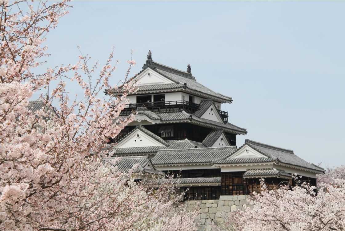 四國 遠離都市人群 四國賞櫻懶人包 日本旅行情報局大福家族