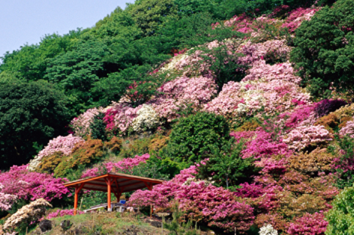 鹿島市　東山公園　佐賀縣觀光連盟