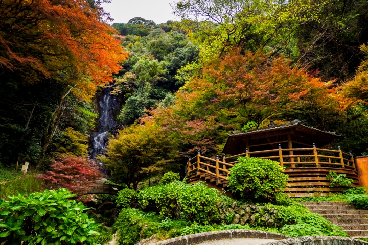 ▲落差達25層樓高的清水瀑布。由於2021年8月豪雨造成瀑布周邊護岸崩落，目前禁止進入。　圖：元氣佐賀／提供