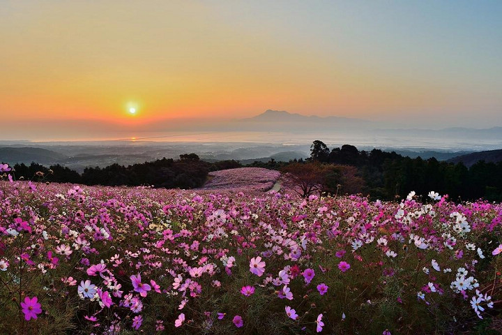 諫早市 白木峰高原