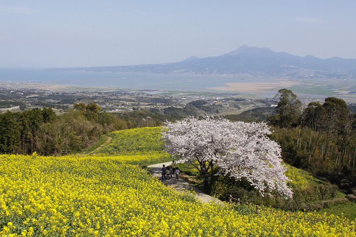 白木峰高原