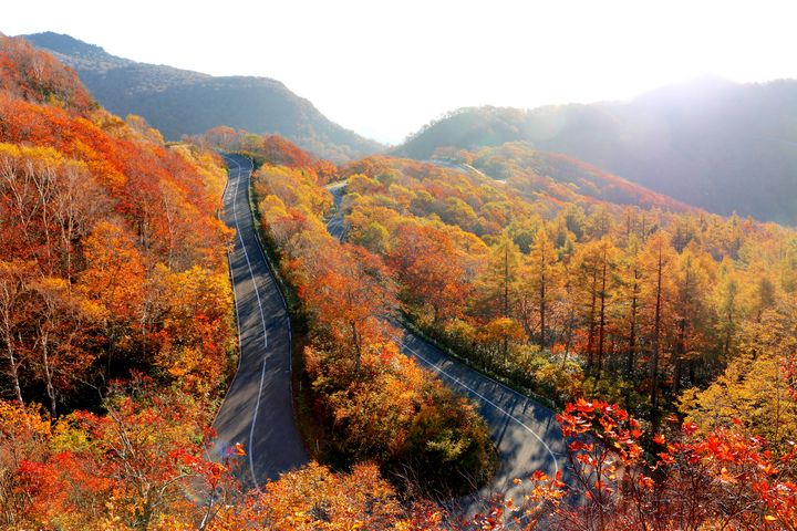 04▲「磐梯山」的黃金公路的秋日紅葉景致，壯闊又夢幻。　圖：Shutterstock／來源