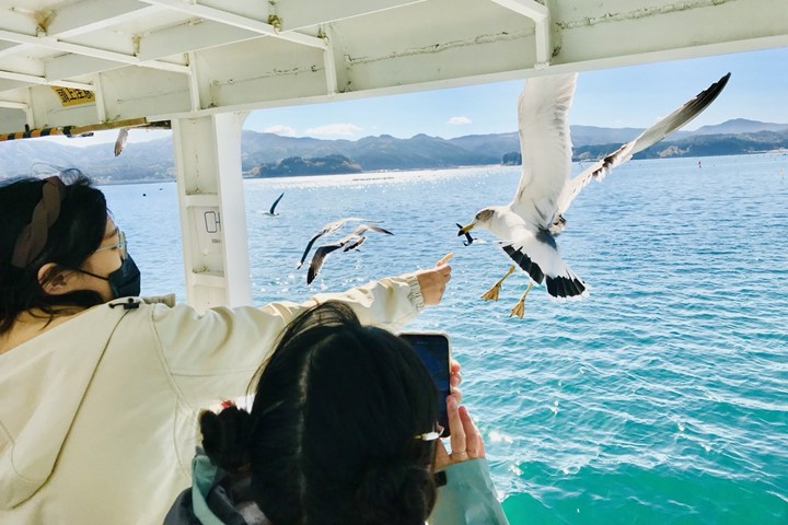 ▲出海觀賞蔚藍的大海與小島，與海鷗超近距離互動。　圖：曾照晴／攝影