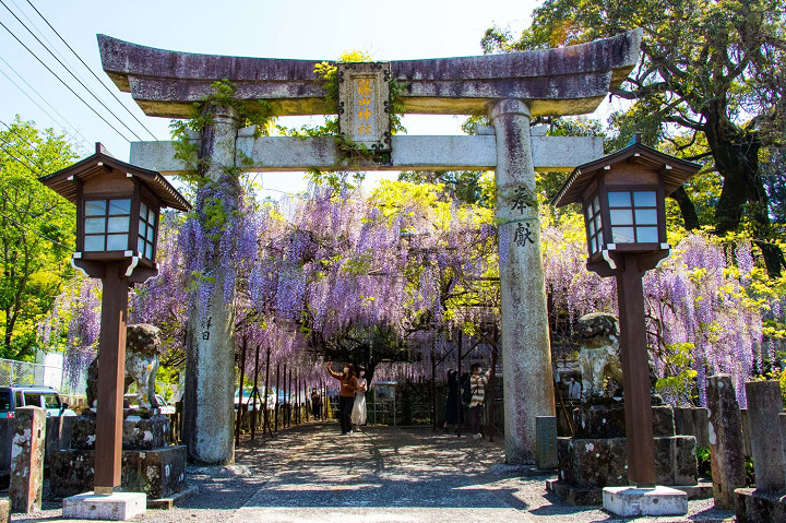藤山神社