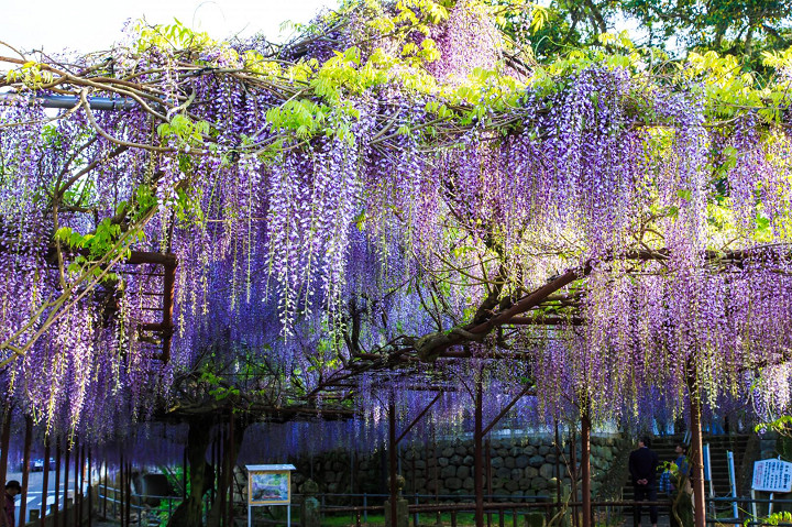 藤山神社