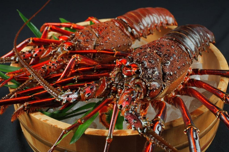 野母崎伊勢龍蝦祭中，可以品嘗到各種鮮美的龍蝦料理。 圖片提供：長崎縣觀光連盟
