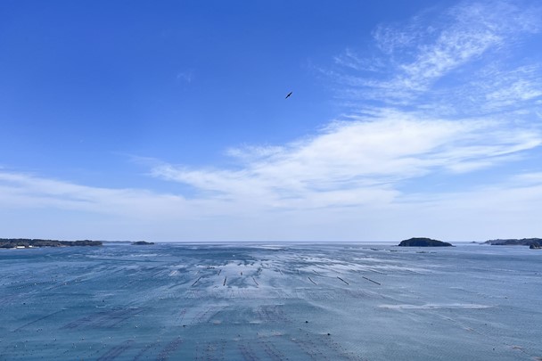 ▲從南三陸觀洋飯店望出去的絕美海岸線風光。　圖：曾照晴／攝影