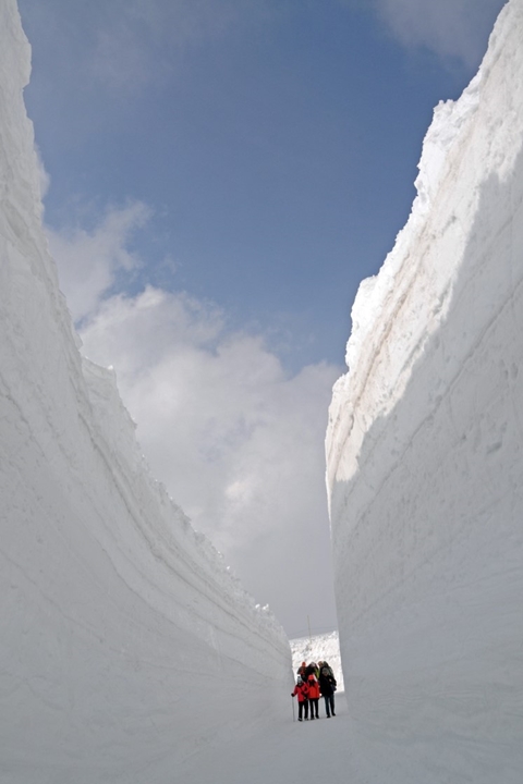 ▲「雪之迴廊」兩側雪壁的更加貼近，刺激感十足。（※圖為往年照片）　圖：向日遊顧問有限公司／來源