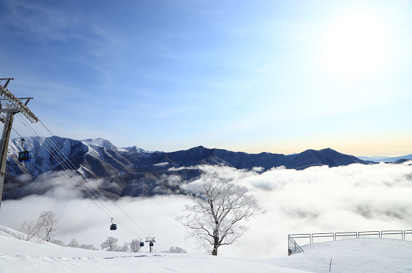 在雲海之巔滑雪的風景非常壯觀。