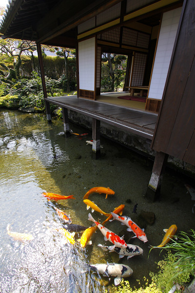 四明莊的湧水庭園十分值得一看。    圖片提供：長崎縣觀光連盟 