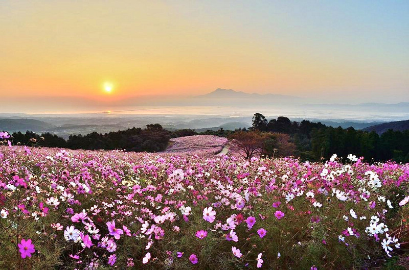 諫早 白木峰高原