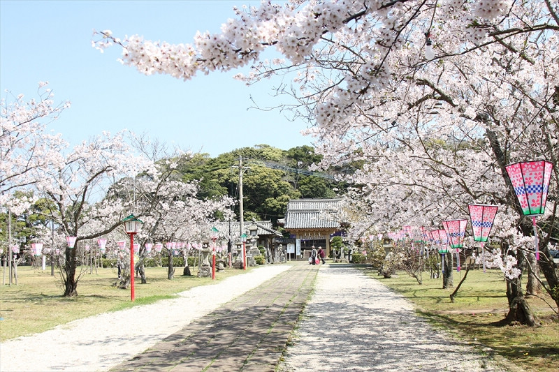 平戶市｜龜岡公園