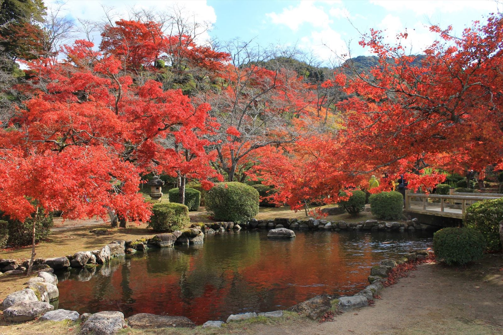 11-西溪公園