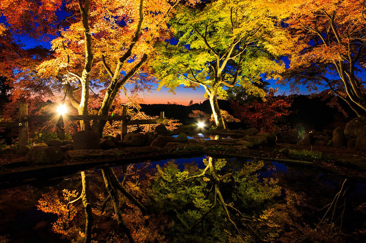 雲仙三十路苑紅葉為期間限定的紅葉美景。    圖片提供：長崎縣觀光連盟