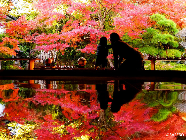 佐世保壽福寺的逆紅葉美景    圖片提供：長崎縣觀光連盟