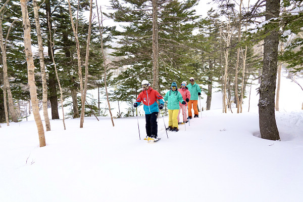 除了滑雪外，還可以參加較溫和的雪上健走。