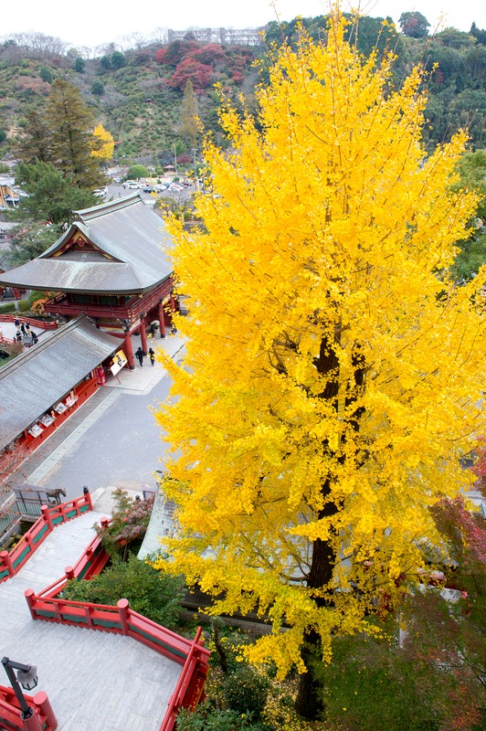 28-祐德稻荷神社