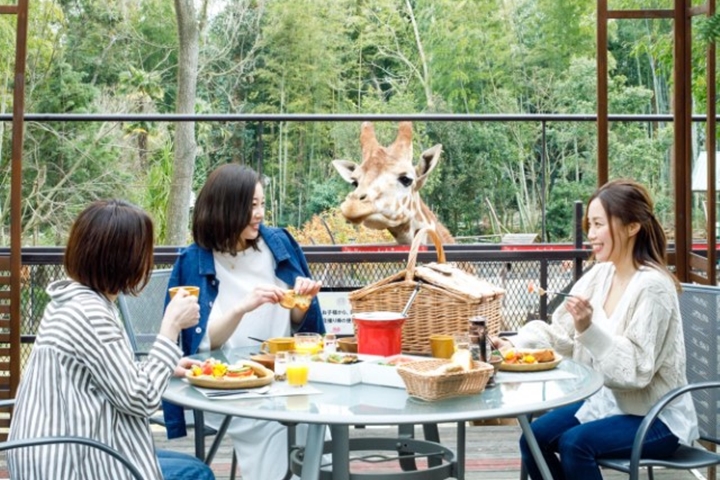 ▲享受與長頸鹿共度早餐的時光吧！　圖：ブッキングリゾート／提供