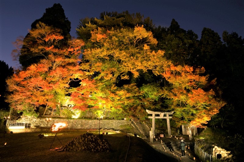 7-大山祇神社-標圖源