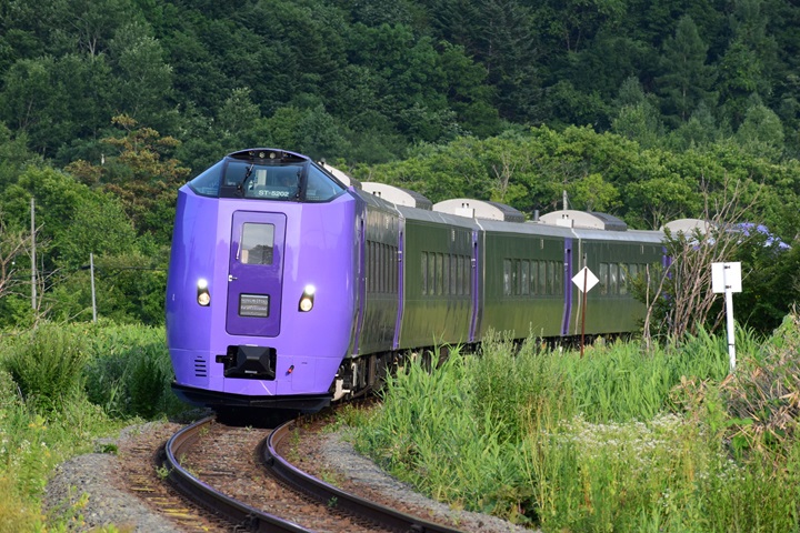 ▲富良野薰衣草特急列車從札幌出發，可當日往返。 圖：JR北海道提供