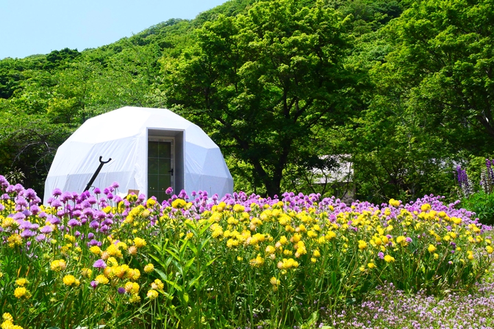 ▲營地被花園環繞，就像在繽紛花海裡入睡般夢幻。　圖：株式会社glampark／提供